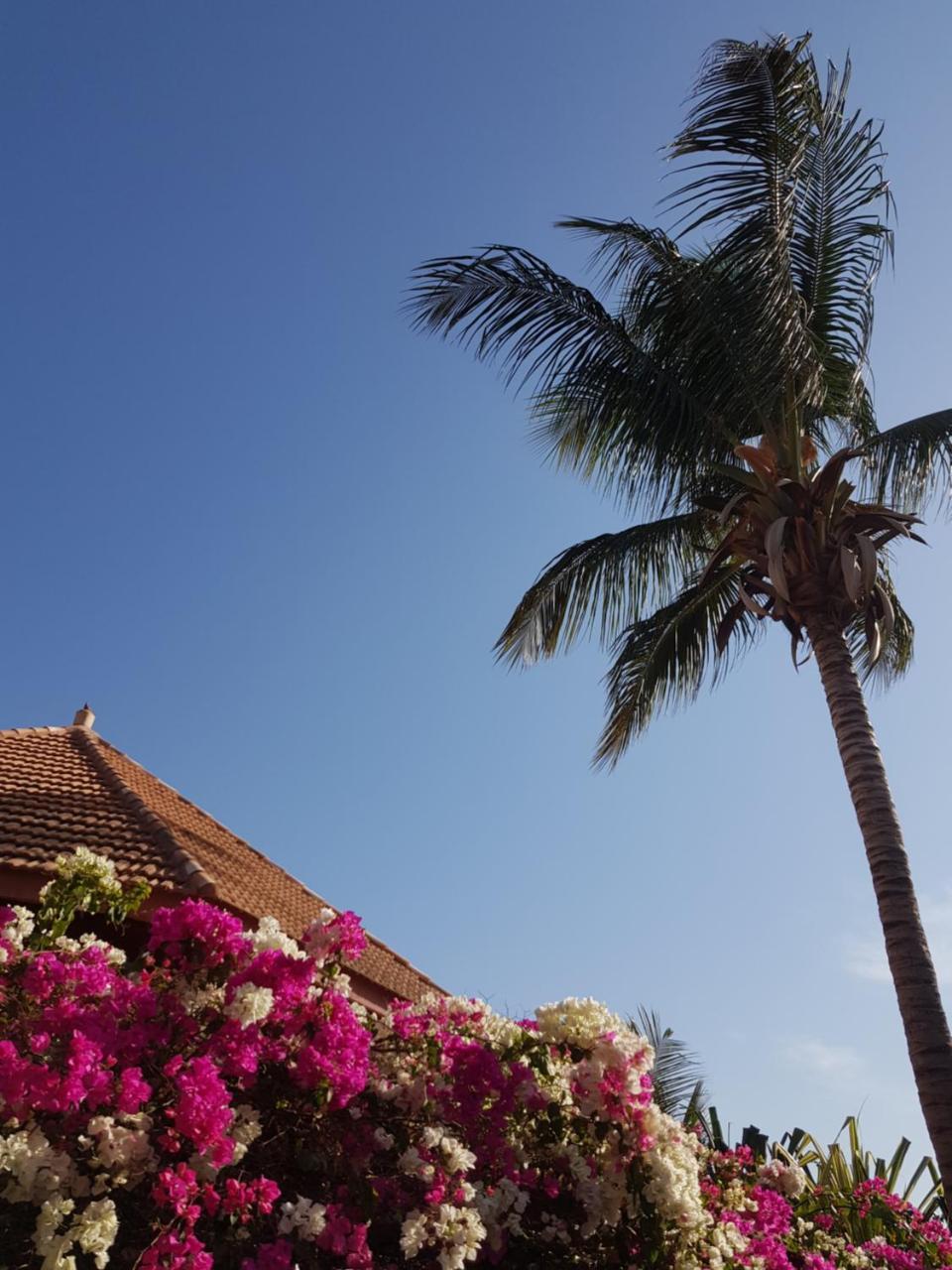Villa Met Prive Zwembad In Residence Safari Village Saly Portudal Exterior foto